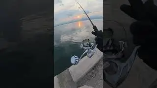 Shimano Stradic C5000XG