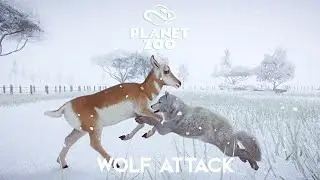 Hunt with Arctic Wolf in a Blizzard - Planet Zoo Wolf Attack - Planet Zoo Animal Fight