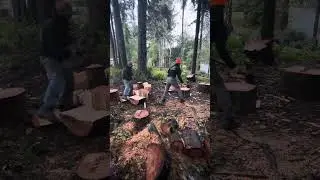 Young buck vs Old man splitting wood race