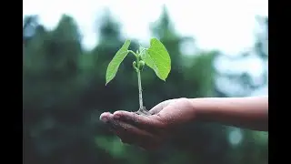 Spiritual Gifts: Blessing Our World - I Corinthians 14:23-25