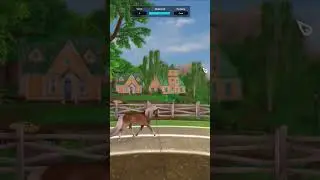 ✨Lunging in SSO be like✨ #games #sso #proof #memes