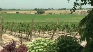 Southern Idaho TravelBeat: Buhl, Idaho