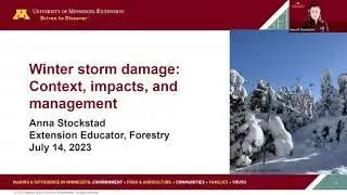 Winter storm damage on your woodlands:   Context, impacts, and management Source