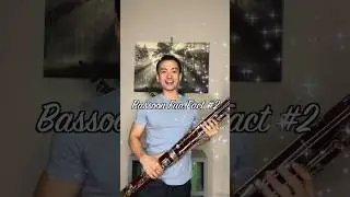 are bassoons double reed instruments???