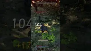 PvP na floresta? T&ocirc; dentro! #fehgalinhagameplay #mmorpg  #CombatePaxDei  #OpenWorldMMO #PaxDeiShorts