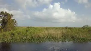 Everglades Video Drone Shot of prairie from Mavic Pro