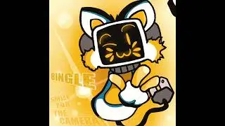 BINGLE-HAVEAGOODNIGHT!