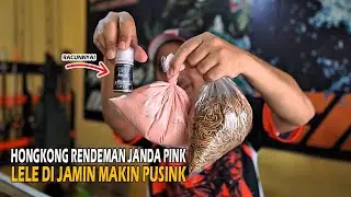 EFEX PUASA  ❗❗ SIRAMAN JANDA PINK ❗❗ BIKIN IKAN DAN YANG MANCING MAKIN PUSINK 🤣🤣