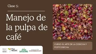 Clase: Manejo de la Pulpa de Caf&eacute;