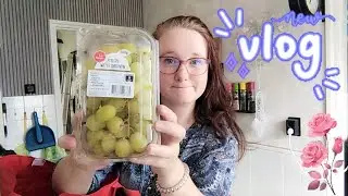 Boodschappen shoplog 🛒 Videolandserie 📺 en ik heb een Me-Mover! ✨️ een vlog van Yololanda