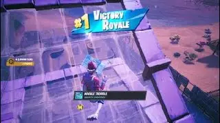How we got  $400 in Winter Royale