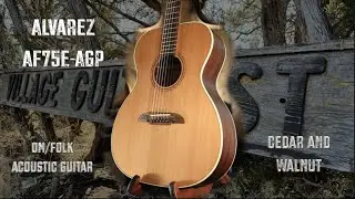 Alvarez AF75E-AGP Folk/OM Style Acoustic Guitar | Western Red Cedar Top With Black Walnut Demo