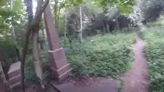 Mysterious abandoned cemetery