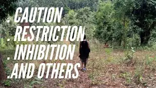 RIGHTS IN ANOTHER'S LAND, CAUTION, RESTRICTION, INHIBITION, EASEMENT,RIGHT OF WAY AND WAY LEAVE