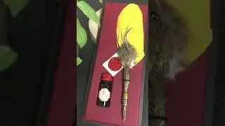 意大利 Rubinato 羽毛筆套裝 Rubinato Feather Pen Set from Italy