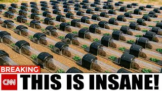 Los Angeles Governor: Use This To KILL ALL RATS And Mice Around Your Home &mdash; Safe For Pets!