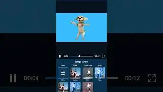 tempo effect power director premium