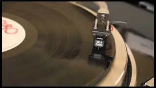 Same Old Girl - Darryl Cotton - Vinyl