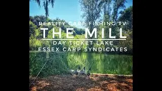 Reality Carp Fishing TV - The Mill Day Ticket Lake - Essex Carp Syndicates