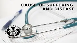 Cause and Suffering of Disease | Ayurveda with Dr  Marc Halpern