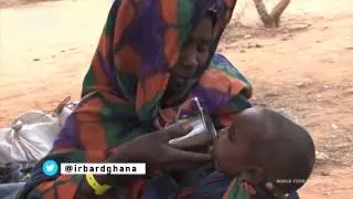 End Famine in South Sudan - Irbard Security Consult (English)