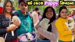 এত দুর দুর থেকে আসছে সবাই শ্রীরামপুর হাটে! Shrirampur Dog Market. Serampore Pet Market.