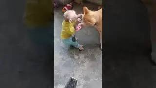 Baby monkey arguing with the cat is so funny and cute