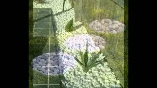 The Best Garden Pebbles 2015