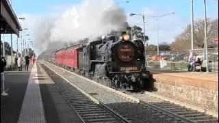 The Vintage Train to Castlemaine, featuring A2 986