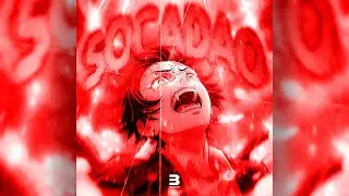 Bealer - SOCADAO