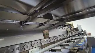 CAM Singulator 1LR SB sachets 300ppm