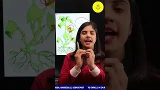 How to Ace NEET 2023: Learn the Difference between Chasmogamous and Cleistogamous!