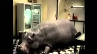 022 eichhof that is my beer hypo ad - funny beer commercial ad from Beer Planet.mp4
