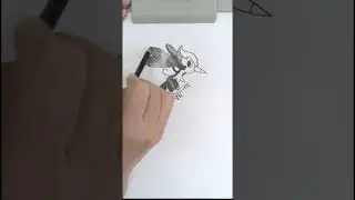 How to draw 264: Pikipek