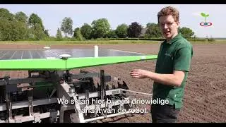 Farmdroid begint met wieden in uien