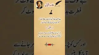 Tanhai pasnd 🙃 | Iqbal poetry 🥀 | #urdupoetry #viral