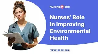 Nurses&rsquo; Role in Improving Environmental Health - Essay Example