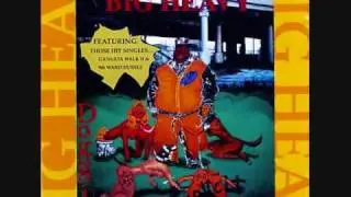 Big Heavy-Project Hoes Redrum Recrods 1996