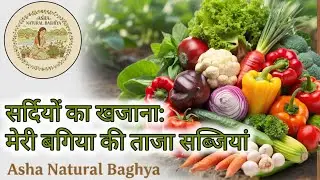 Winter ☃️ Sardiyon ka Khazana - Meri Baghiya ki Taaza Sabziyan 🥬#AshaNaturalBaghiya #Winter #garden