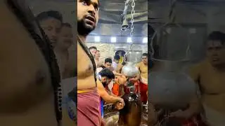 Virat Kohli #viratkohli  #shorts #shortsfeed #viralshorts  #indiavspakistan #viratkohlicentury
