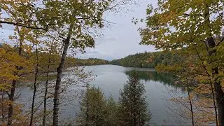 Walking by the Lake in the Wild Forest