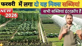 February Me Konsi Sabji Lagaye 2026 | February Me Sabji Ki Kheti |Vegetable Farming in February 2026