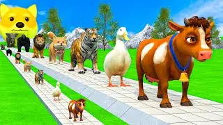 Long Slide Game with Cow Elephant Gorilla Hippopotamus Tiger 3d Animal Game Funny 3d Animals