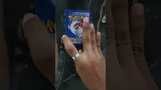 #boltund #pokemon