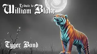 The Crystal Cabinet - Tyger Band ✨ | Delta / Swamp Blues #explore #song #new #music #blues