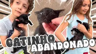 UM GATINHO ABANDONADO NO LIXO