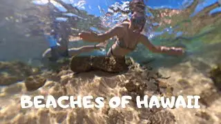 Beaches Of Oahu Hawaii Family Friendly Places To Swim