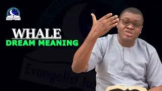 Whale Dream Meaning - Biblical Interpretation and Symbolism