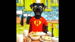 Best Daily Routine for Kids with Rocky the Super Dog#cartoon#kids#learning