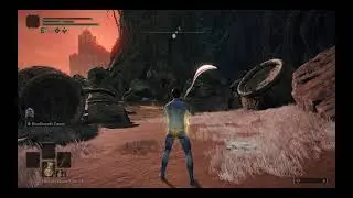 Elden Ring - Putrid Avatar (No Damage)